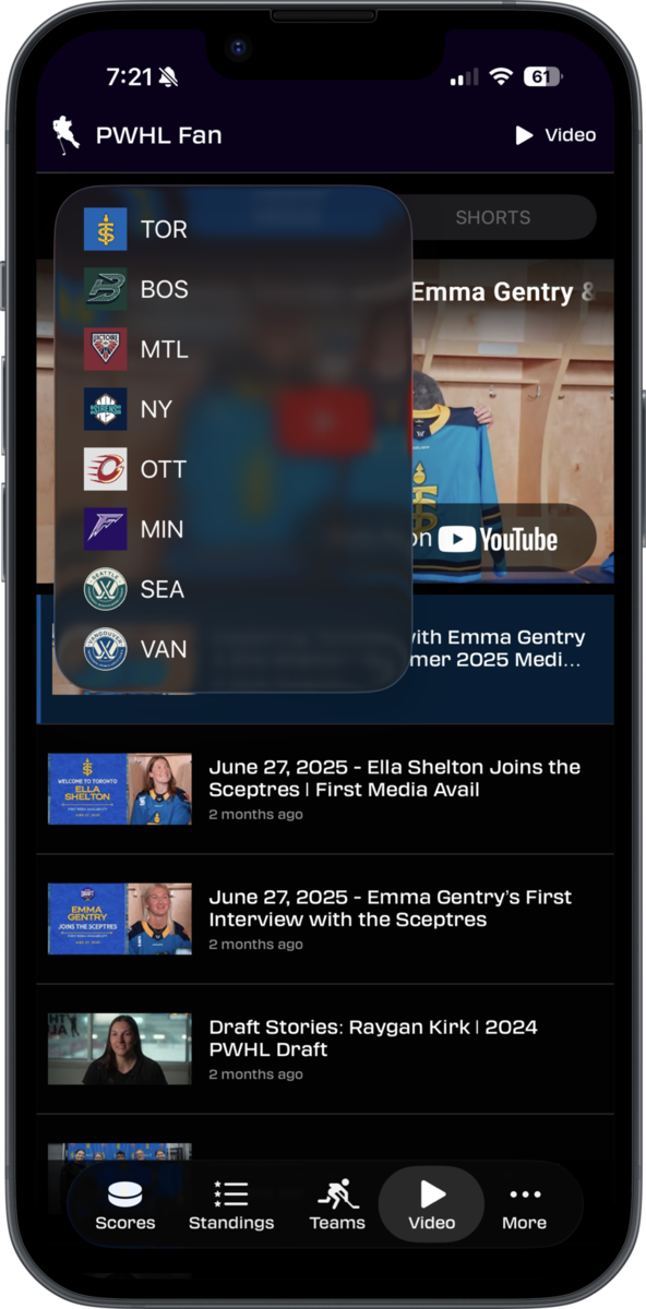 PWHL Expansion Teams 2