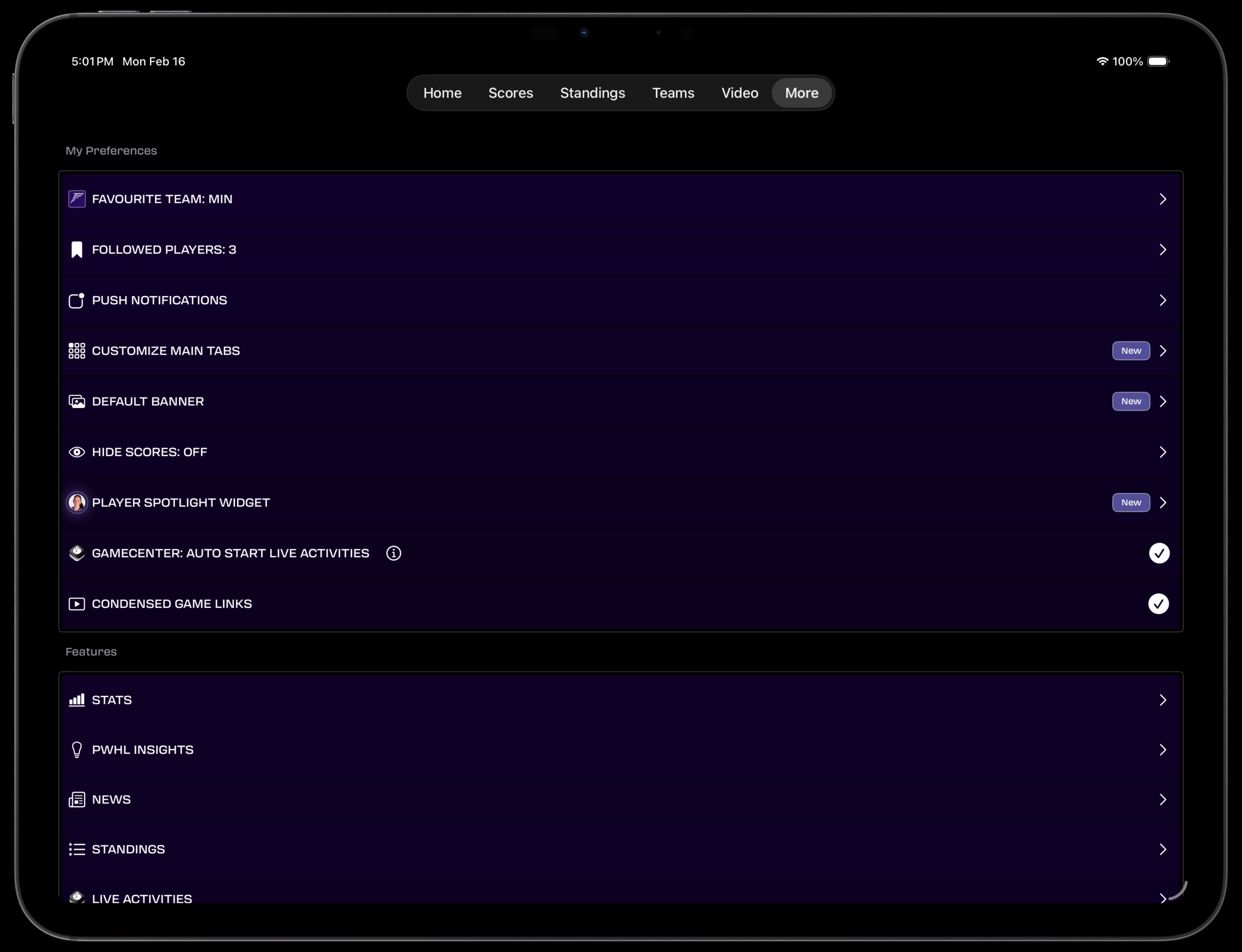 iPad More tab in landscape showing expanded Preferences view