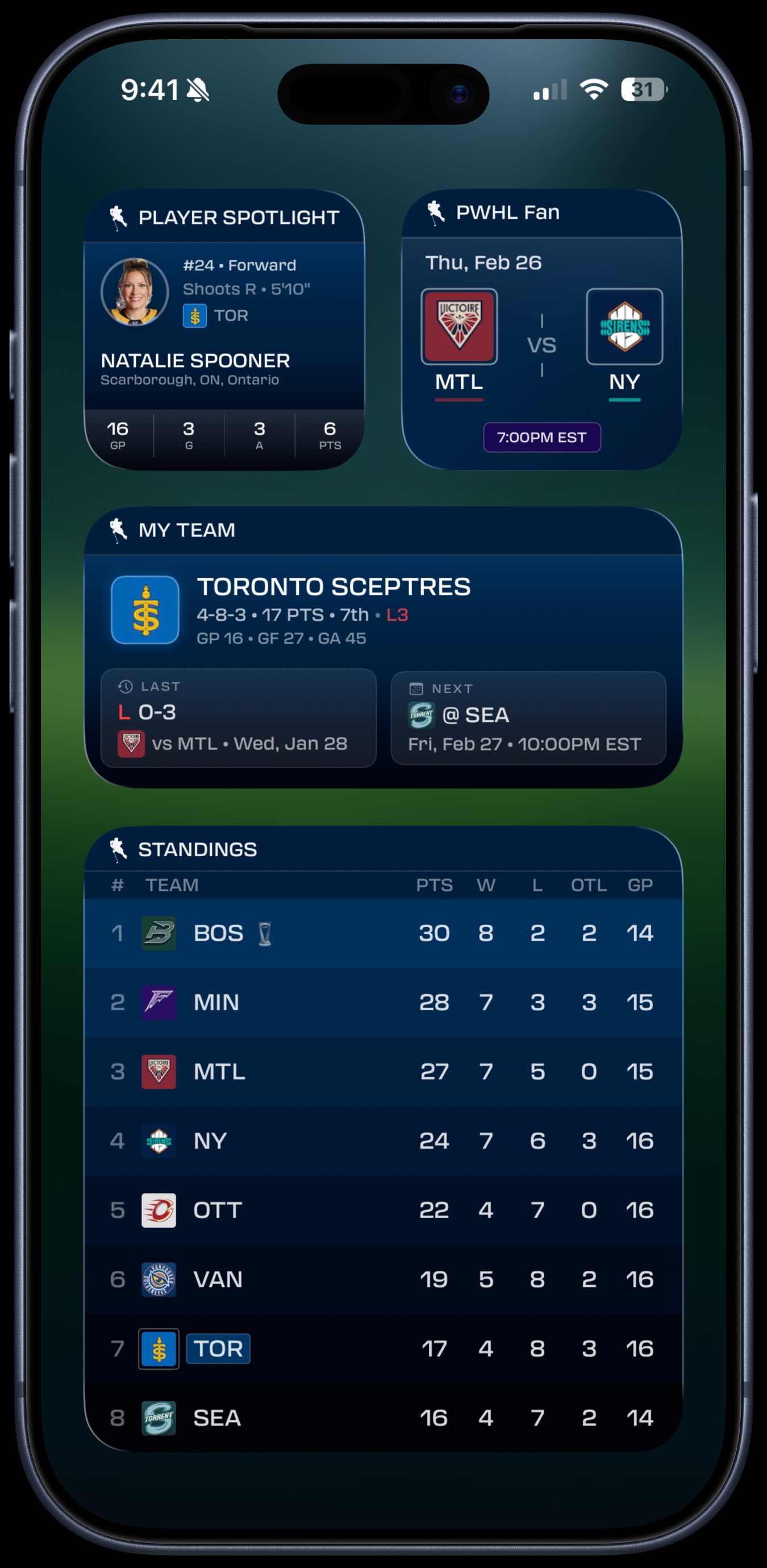 iOS Home Screen Widgets